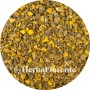 Russian / Chinese Rhubarb - Rheum palmatum / Rheum officinalis
