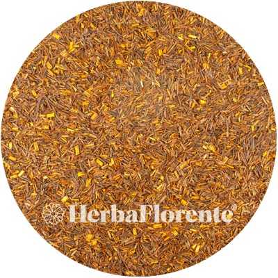 Rooibos - Aspalathi linearis