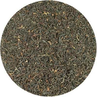 Zwarte Thee Assam - Camellia sinensis
