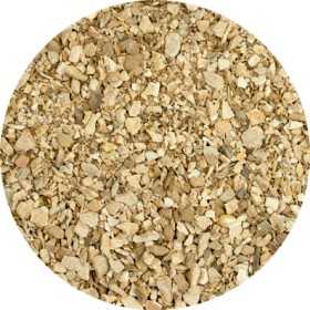 Wild Yam Root - Dioscorea villosa