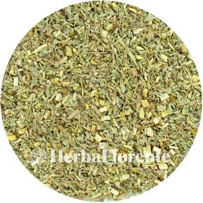 Wormwood Herb - Artemisia absinthium - Cut