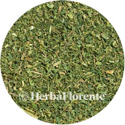 Nettle (Herb) - Urticae dioica