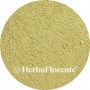Wermutkraut - Artemisia absinthium