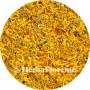 Marygold (Calendula) - Calendulae officinalis