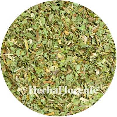Dandelion (Herb) - Taraxum officinale - Cut