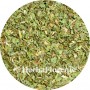 Pissenlit (Herbe) - Taraxum officinale - Coupée