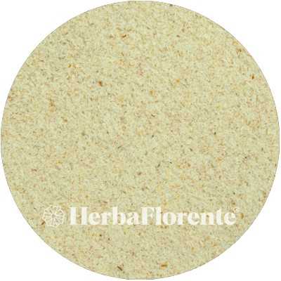 Psyllium husks (Premium Psyllium Fiber) - Psylli flavum Testa