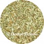 Chicorée (Herbe) - Cichorium Intybus